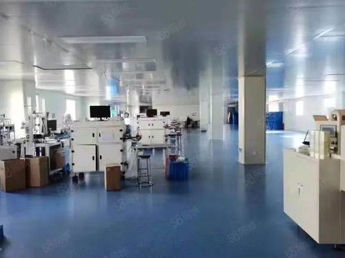 源頭與創(chuàng)新 上海消字號(hào)代加工廠(chǎng)與軟件開(kāi)發(fā)的雙軌發(fā)展